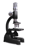 microscopio 02