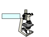 microscopio 03