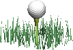 Golf 05